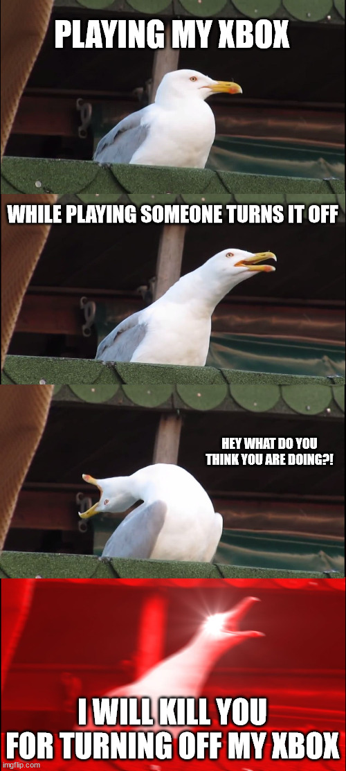 Inhaling Seagull | PLAYING MY XBOX; WHILE PLAYING SOMEONE TURNS IT OFF; HEY WHAT DO YOU THINK YOU ARE DOING?! I WILL KILL YOU FOR TURNING OFF MY XBOX | image tagged in memes,inhaling seagull | made w/ Imgflip meme maker