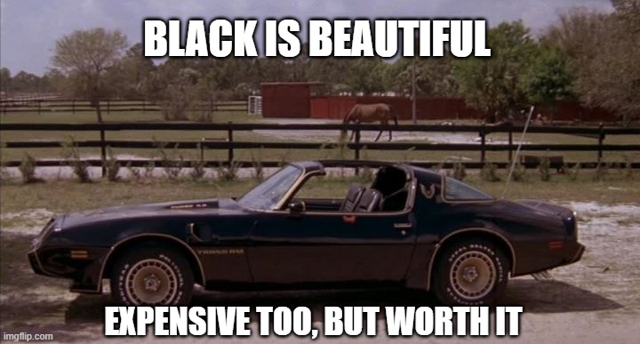 Black is Beautiful | BLACK IS BEAUTIFUL; EXPENSIVE TOO, BUT WORTH IT | image tagged in smokey and the bandit,trans am,burt reynolds | made w/ Imgflip meme maker