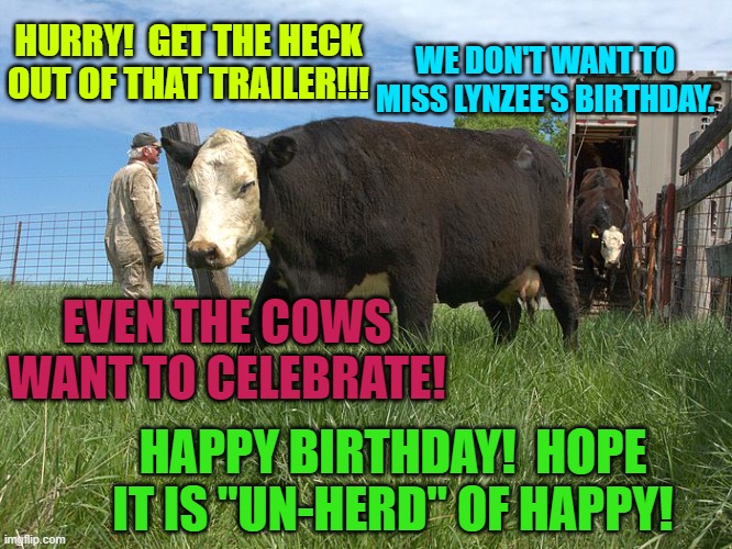 Unloading cattle  | HURRY!  GET THE HECK OUT OF THAT TRAILER!!! WE DON'T WANT TO MISS LYNZEE'S BIRTHDAY. EVEN THE COWS WANT TO CELEBRATE! HAPPY BIRTHDAY!  HOPE IT IS "UN-HERD" OF HAPPY! | image tagged in unloading cattle | made w/ Imgflip meme maker
