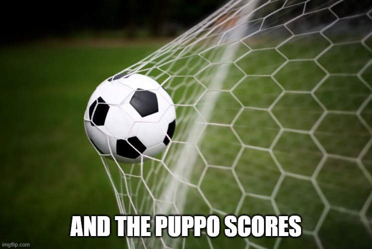 soccer | AND THE PUPPO SCORES | image tagged in soccer | made w/ Imgflip meme maker