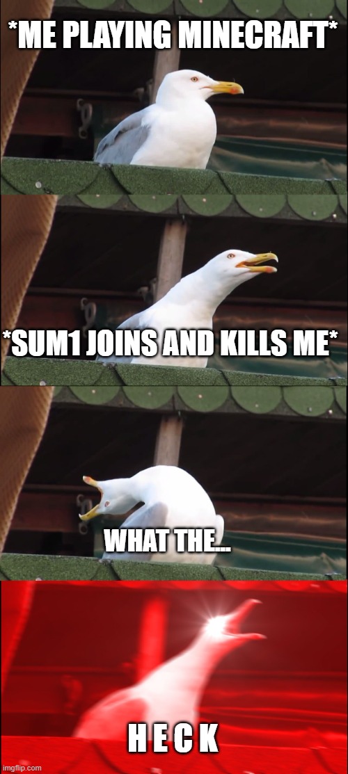 Why me | *ME PLAYING MINECRAFT*; *SUM1 JOINS AND KILLS ME*; WHAT THE... H E C K | image tagged in memes,inhaling seagull | made w/ Imgflip meme maker