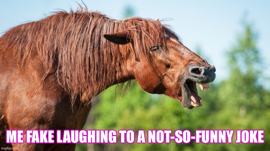 A funny horse meme | ME FAKE LAUGHING TO A NOT-SO-FUNNY JOKE | image tagged in change my mind | made w/ Imgflip meme maker