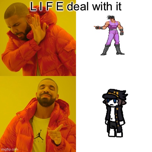 Deal with this image | L I F E deal with it | image tagged in memes,drake hotline bling,dank memes | made w/ Imgflip meme maker