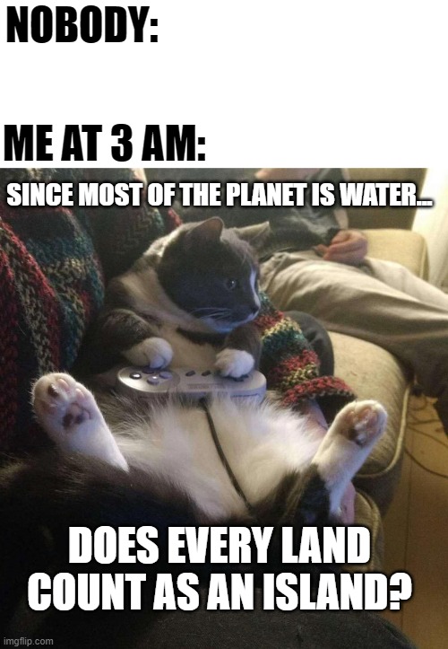 Continent or Island? |  NOBODY:; ME AT 3 AM:; SINCE MOST OF THE PLANET IS WATER... DOES EVERY LAND COUNT AS AN ISLAND? | image tagged in snes cat,memes,planet,water,island,deep thoughts | made w/ Imgflip meme maker