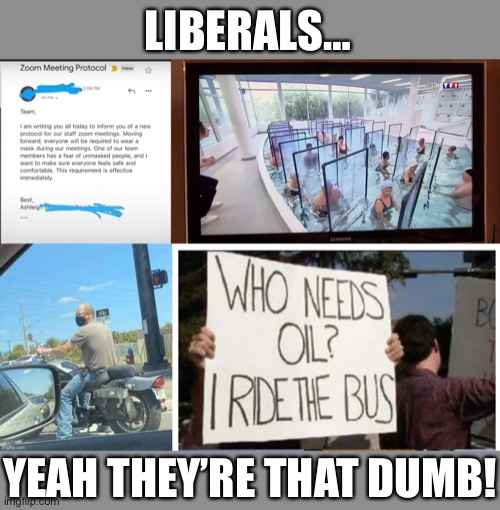 Liberal logic | LIBERALS…; YEAH THEY’RE THAT DUMB! | image tagged in liberal logic,liberal hypocrisy,stupid liberals,memes | made w/ Imgflip meme maker
