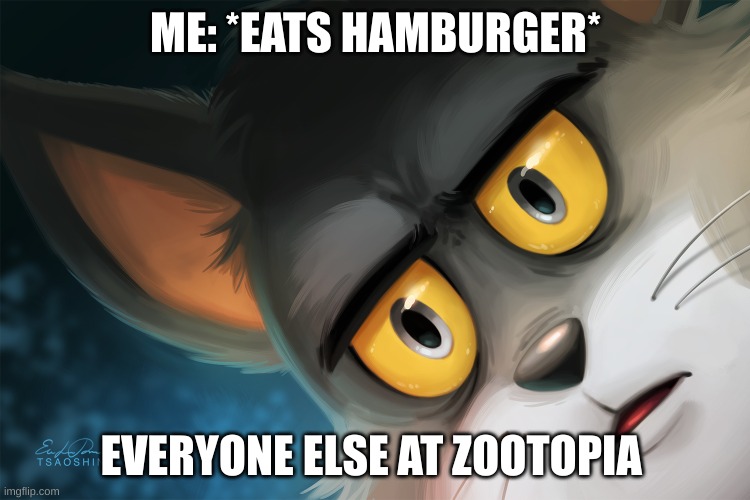 *insert clever title here* | ME: *EATS HAMBURGER*; EVERYONE ELSE AT ZOOTOPIA | image tagged in unsettled tom | made w/ Imgflip meme maker