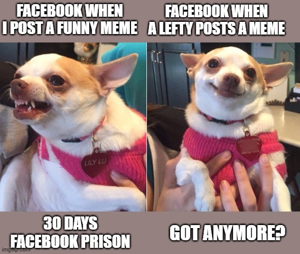 The Two Faces Of Facebook | FACEBOOK WHEN I POST A FUNNY MEME; FACEBOOK WHEN A LEFTY POSTS A MEME; 30 DAYS FACEBOOK PRISON; GOT ANYMORE? | image tagged in facebook jail,left,right | made w/ Imgflip meme maker