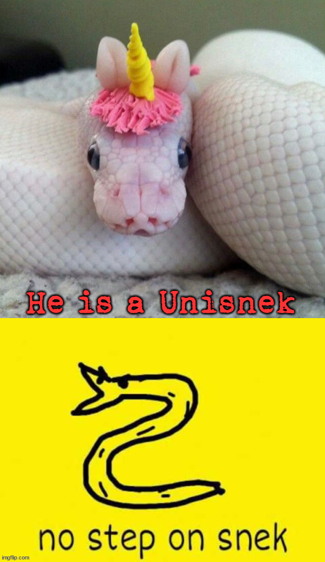 Was asked to post it here by Jellu | image tagged in snek | made w/ Imgflip meme maker