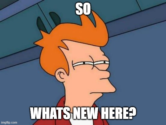 MSMG has gotten boring without drama | SO; WHATS NEW HERE? | image tagged in memes,futurama fry | made w/ Imgflip meme maker