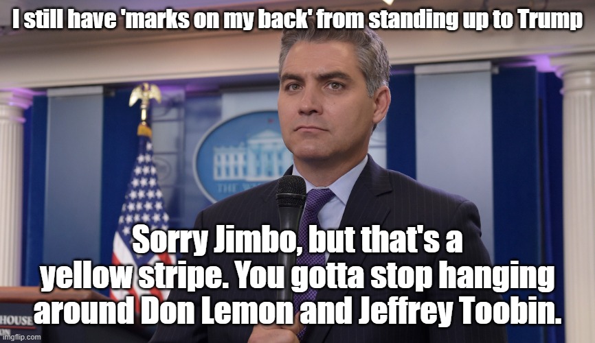 Acosta has a yellow strip | I still have 'marks on my back' from standing up to Trump; Sorry Jimbo, but that's a yellow stripe. You gotta stop hanging around Don Lemon and Jeffrey Toobin. | image tagged in jim acosta nbc,cnn,done lemon,jeffery toobin | made w/ Imgflip meme maker