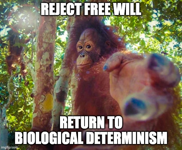 return to determinism | REJECT FREE WILL; RETURN TO BIOLOGICAL DETERMINISM | image tagged in return to monke | made w/ Imgflip meme maker