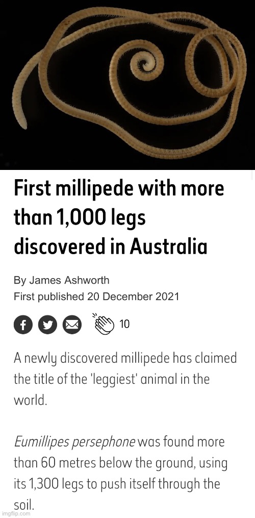 Of course it was Australia | made w/ Imgflip meme maker