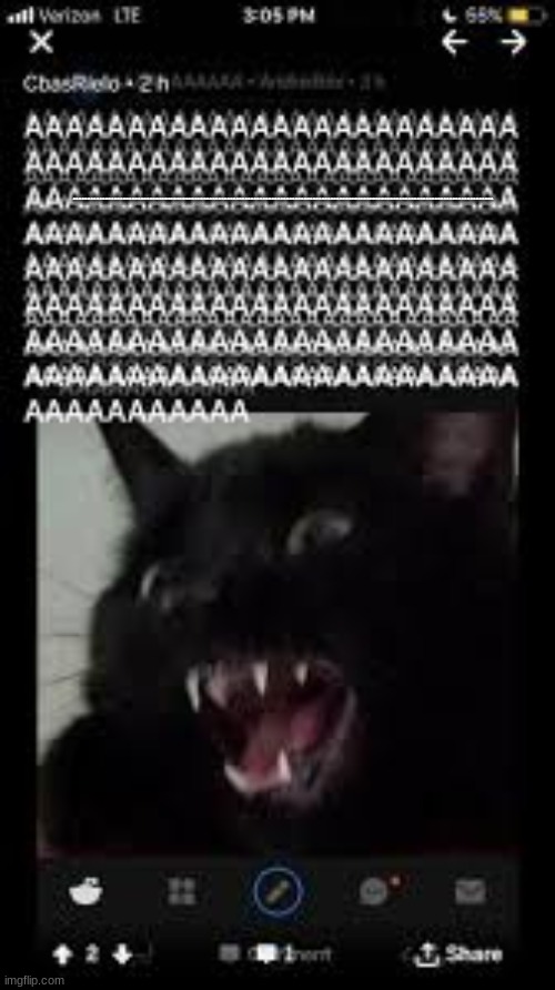 AAAAA | AAAAAAAAAAAAAAAAAAAAAAAAAAAAAAAAAAAAAAAAAAAAAAAAAAAAAAAAAAAAAAAAAAAAAAAAAAAAAAAAAAAAAAAAAAAAAAAAAAAAAAAAAAAAAAAAAAAAAAAAAAAAAAAAAAAAAAAAAAAAAAAAAAAAAAAAAAAAAAAAAAAAAAAAAAAAAAAAAAAAAAAAAAAAAAAAAAAAAAAAAAAAAAAAAAAAAAAAAAAAAAAAAAAAAAAAAAAAA | image tagged in cat | made w/ Imgflip meme maker