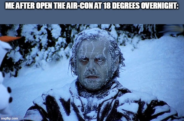 yes | ME AFTER OPEN THE AIR-CON AT 18 DEGREES OVERNIGHT: | image tagged in freezing cold | made w/ Imgflip meme maker