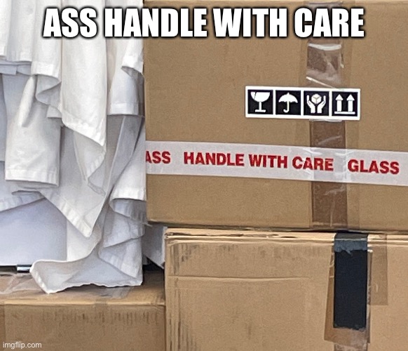 Box | ASS HANDLE WITH CARE | image tagged in college,funny,funny memes,viral meme | made w/ Imgflip meme maker