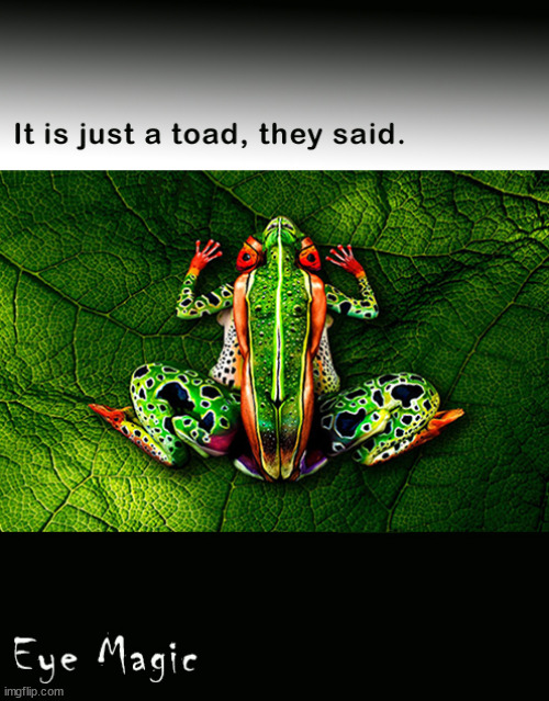 It is just a toad, they said. | image tagged in memes,funny,illusion,toad | made w/ Imgflip meme maker