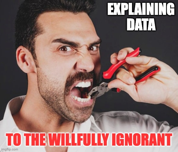 Necessary, but SO painful | EXPLAINING
DATA; TO THE WILLFULLY IGNORANT | image tagged in data,information,statistics | made w/ Imgflip meme maker