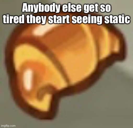 cros ant | Anybody else get so tired they start seeing static | image tagged in cros ant | made w/ Imgflip meme maker