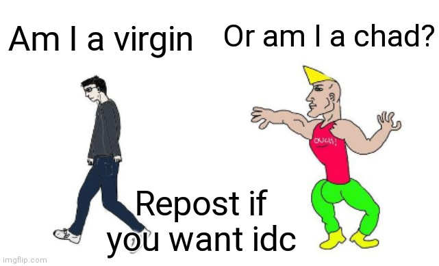 Virgin vs Chad | Or am I a chad? Am I a virgin; Repost if you want idc | image tagged in virgin vs chad | made w/ Imgflip meme maker