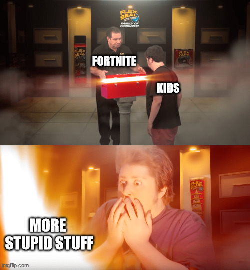 opening box | FORTNITE   

                                
                                                KIDS; MORE
 STUPID STUFF | image tagged in opening box | made w/ Imgflip meme maker