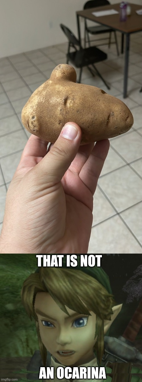 YOU JUST NEED TO PUT HOLES IN IT | THAT IS NOT; AN OCARINA | image tagged in potato,the legend of zelda,ocarina of time,link,zelda | made w/ Imgflip meme maker