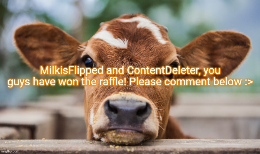 MilkisFlipped and ContentDeleter, you guys have won the raffle! Please comment below :> | made w/ Imgflip meme maker