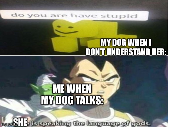 MY DOG WHEN I DON’T UNDERSTAND HER:; ME WHEN MY DOG TALKS:; SHE | made w/ Imgflip meme maker