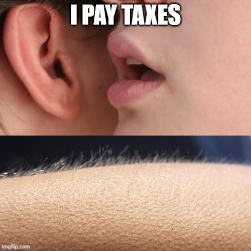 Blimey! | I PAY TAXES | image tagged in whisper and goosebumps | made w/ Imgflip meme maker