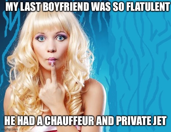 ditzy blonde | MY LAST BOYFRIEND WAS SO FLATULENT; HE HAD A CHAUFFEUR AND PRIVATE JET | image tagged in ditzy blonde | made w/ Imgflip meme maker