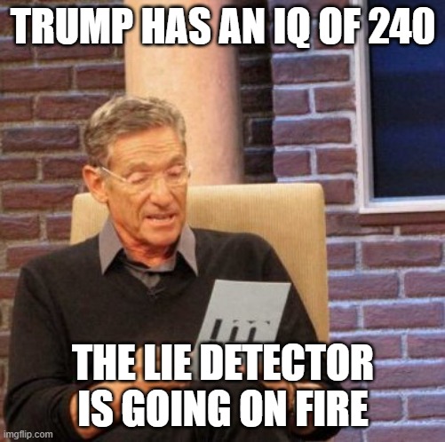 Maury Lie Detector | TRUMP HAS AN IQ OF 240; THE LIE DETECTOR IS GOING ON FIRE | image tagged in memes,maury lie detector | made w/ Imgflip meme maker
