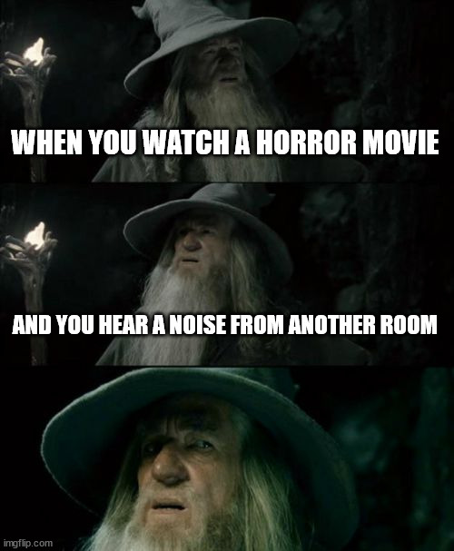 Confused Gandalf Meme | WHEN YOU WATCH A HORROR MOVIE; AND YOU HEAR A NOISE FROM ANOTHER ROOM | image tagged in memes,confused gandalf | made w/ Imgflip meme maker