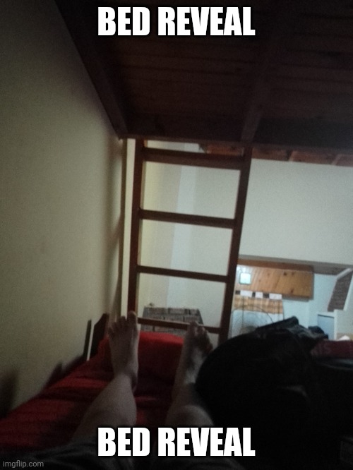 BED REVEAL; BED REVEAL | made w/ Imgflip meme maker