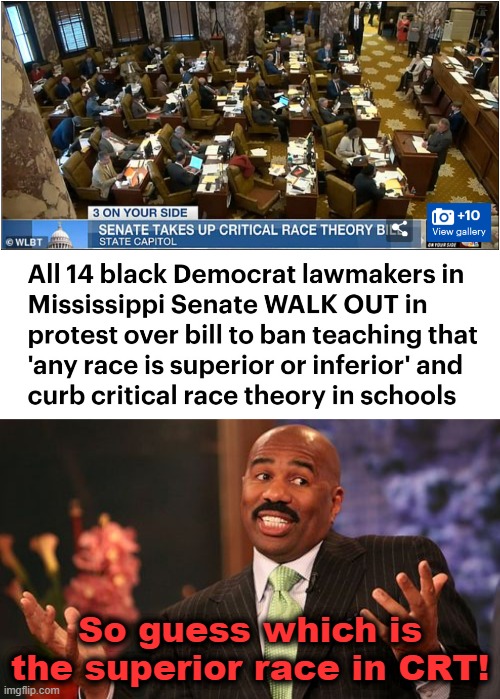 So they want kids to be taught one race is superior! | So guess which is the superior race in CRT! | image tagged in memes,steve harvey,critical race theory,democrats,superior race | made w/ Imgflip meme maker