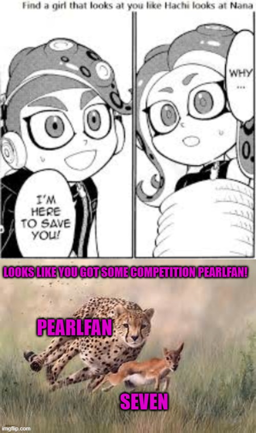 Hachi and nana are Japanese for "Eight and Seven" Respectably | LOOKS LIKE YOU GOT SOME COMPETITION PEARLFAN! PEARLFAN; SEVEN | image tagged in competition,you got competition | made w/ Imgflip meme maker