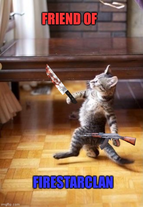Cool Cat Stroll Meme | FRIEND OF; FIRESTARCLAN | image tagged in memes,cool cat stroll | made w/ Imgflip meme maker