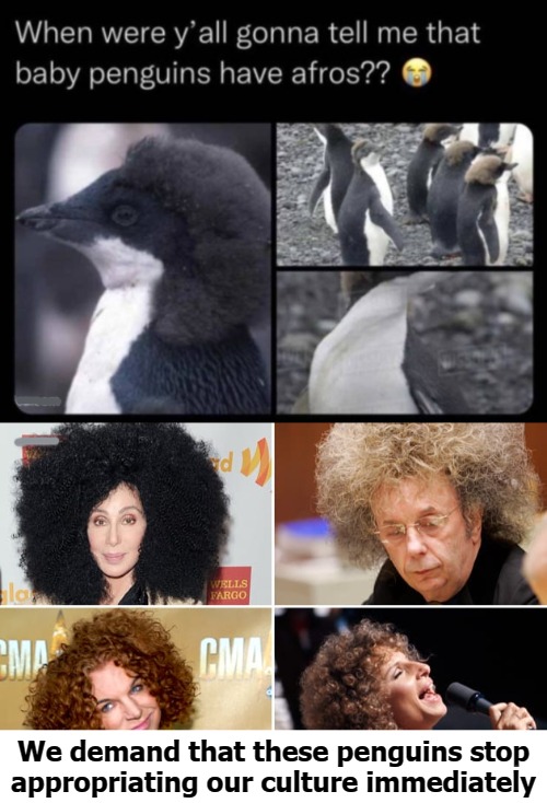We demand that these penguins stop appropriating our culture immediately | image tagged in pos | made w/ Imgflip meme maker