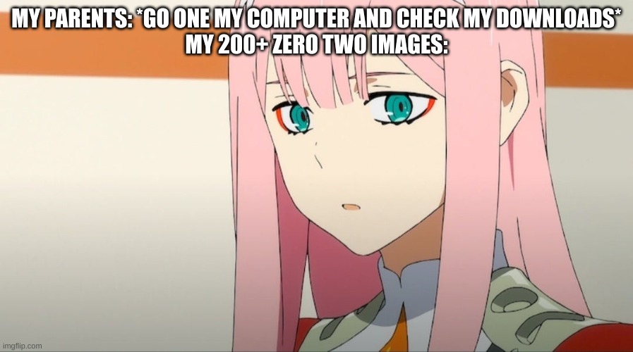 yeah i'm dead | MY PARENTS: *GO ONE MY COMPUTER AND CHECK MY DOWNLOADS*
MY 200+ ZERO TWO IMAGES: | image tagged in disturbed zero two,oh no,you will die in 005 | made w/ Imgflip meme maker