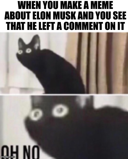 oh crap... | WHEN YOU MAKE A MEME ABOUT ELON MUSK AND YOU SEE THAT HE LEFT A COMMENT ON IT | image tagged in oh no cat,uh oh,aw shoot,memes | made w/ Imgflip meme maker