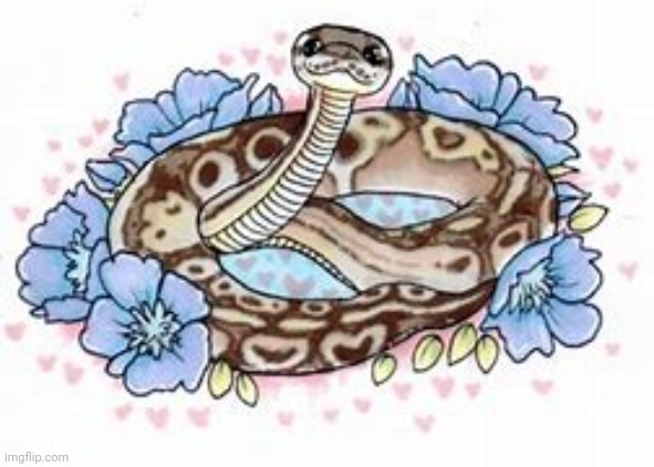 Anyone want snek snuggles :3 | image tagged in snek | made w/ Imgflip meme maker