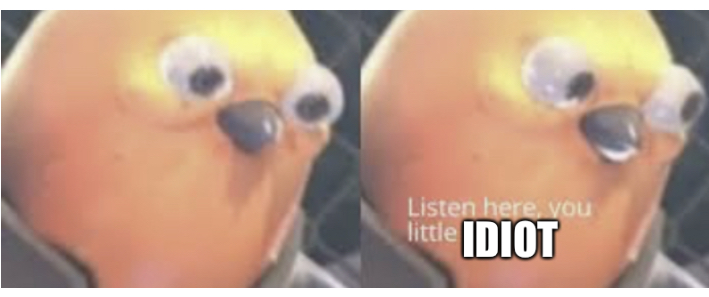 High Quality Listen up idiot Blank Meme Template