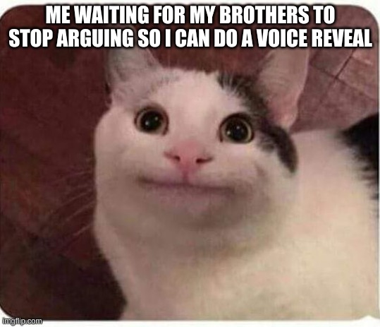 Balls-delicious-in my mouth~~~~ | ME WAITING FOR MY BROTHERS TO STOP ARGUING SO I CAN DO A VOICE REVEAL | image tagged in polite cat | made w/ Imgflip meme maker