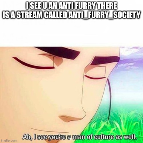 Ah,I see you are a man of culture as well | I SEE U AN ANTI FURRY THERE IS A STREAM CALLED ANTI_FURRY_SOCIETY | image tagged in ah i see you are a man of culture as well | made w/ Imgflip meme maker