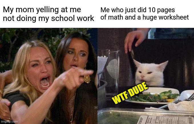 True and relatble | My mom yelling at me not doing my school work; Me who just did 10 pages of math and a huge worksheet; WTF DUDE | image tagged in memes,woman yelling at cat | made w/ Imgflip meme maker