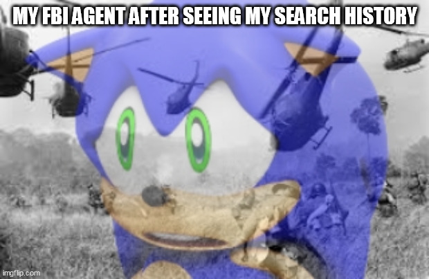 Sonic veitnam war | MY FBI AGENT AFTER SEEING MY SEARCH HISTORY | image tagged in sonic veitnam war | made w/ Imgflip meme maker