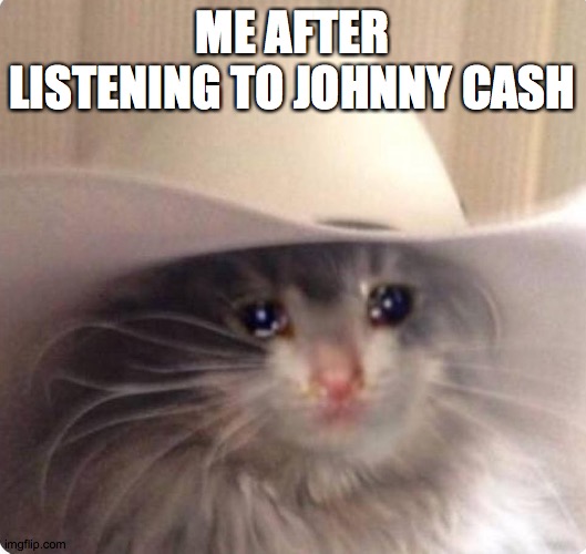 Sad cowboy cat | ME AFTER LISTENING TO JOHNNY CASH | image tagged in sad cowboy cat | made w/ Imgflip meme maker