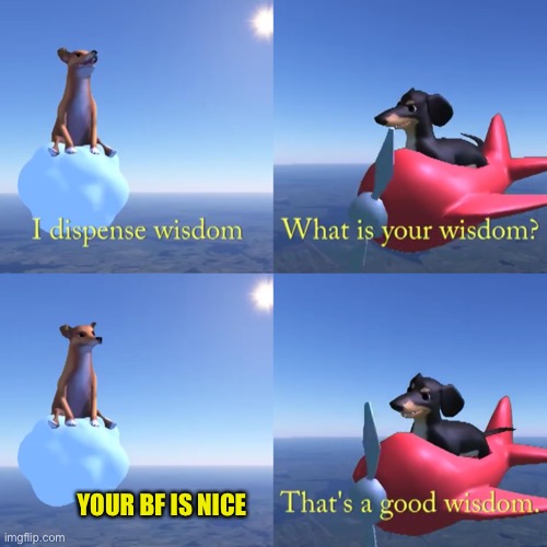 That's a good wisdom | YOUR BF IS NICE | image tagged in that's a good wisdom | made w/ Imgflip meme maker
