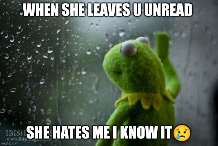 Is this relatable | WHEN SHE LEAVES U UNREAD; SHE HATES ME I KNOW IT😢 | image tagged in kermit window | made w/ Imgflip meme maker