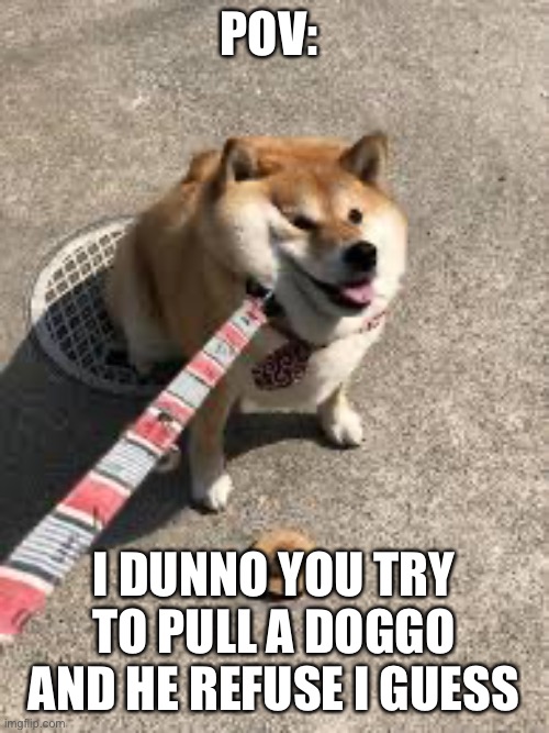 Squishy doggo leash | POV:; I DUNNO YOU TRY TO PULL A DOGGO AND HE REFUSE I GUESS | image tagged in squishy doggo leash | made w/ Imgflip meme maker