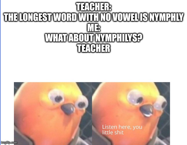 me being bigger brain than teacher | TEACHER:
THE LONGEST WORD WITH NO VOWEL IS NYMPHLY
ME:
WHAT ABOUT NYMPHILYS?
TEACHER | image tagged in listen here you little shit | made w/ Imgflip meme maker