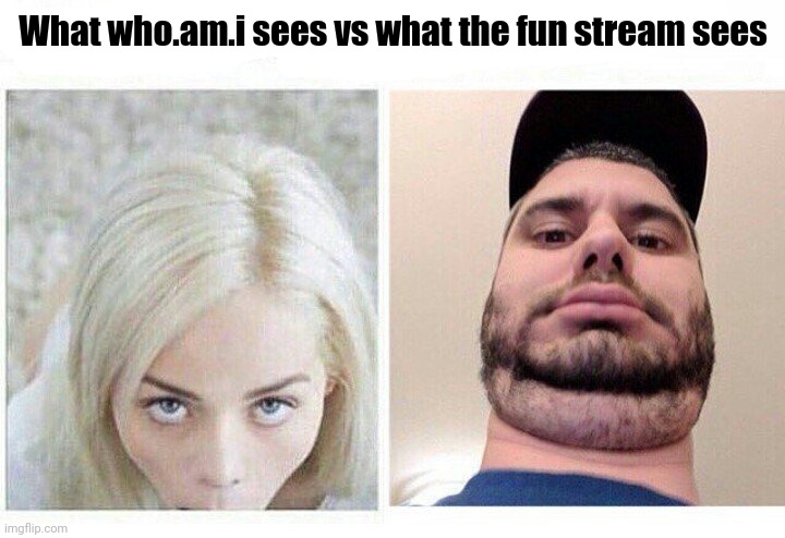 The fun stream practically worships him. Like his memes aren't the funniest memes in existence | What who.am.i sees vs what the fun stream sees | image tagged in what u see vs what she sees | made w/ Imgflip meme maker